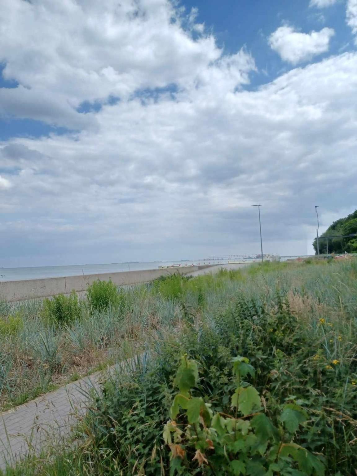 Domek Holenderski, Ogrod, Blisko Plazy, Gdynia Wakacje Na Luzie Экстерьер фото